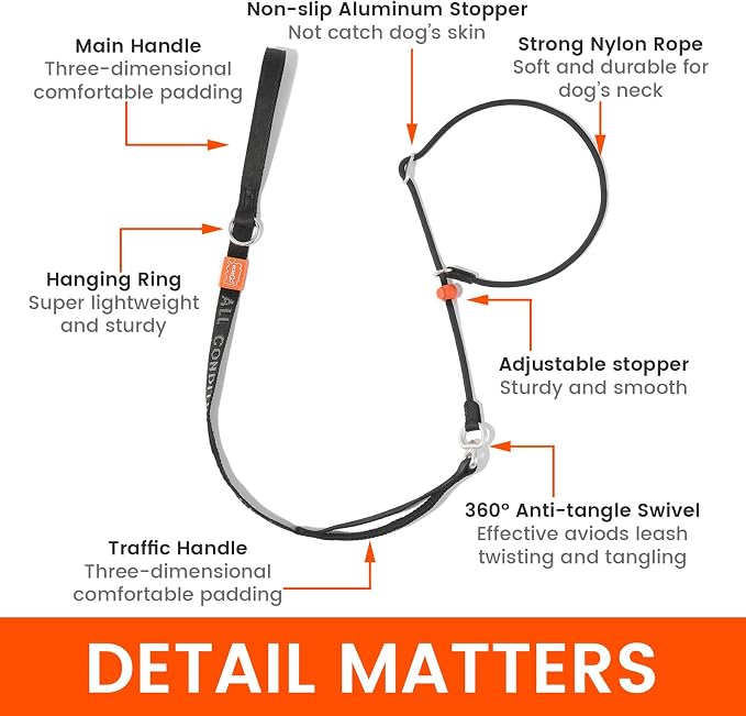 HowGo Slip Lead Dog Leash, 360°Swivel Anti-Tangle (MintGreen 5.5FT) | Traffic Handles Heavy-Duty Training Fur Stuck Free,Lightweight Aluminum Nylon,No-Pull Walking,All Breeds, Dog Trainer