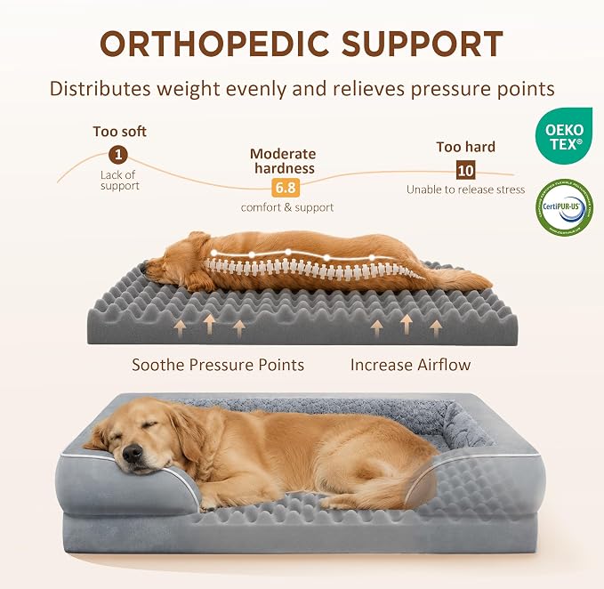 Comfort Expression Orthopedic Dog Beds for Large Sized Dog with Bolster | Waterproof Dog Couch Bed with Washable Cover & Non-Slip Bottom, Supportive Egg Crate Foam Large Pet Bed, 35x22 Inch