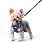 rabbitgoo Dog Harness Small Sized and Leash Set, Step-in Puppy Pet Vest | Light, Soft, Breathable Air Mesh, Easy on and Remove with Hook & Loop, Secure Reflective for Walking, Navy Blue XS