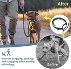 Mayerzon Martingale No Pull Collar for Medium Large Dogs | Teal Trim, L | Patented Anti Pull Dog Collar with Buckle for Walking Training, Neoprene Padding, Reflective Stitching, Adjustable, Sturdy