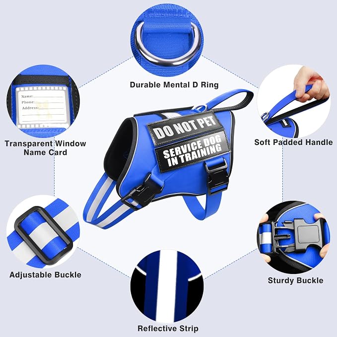 Service Dog Harness and Leash Set, Training Dog Vest with 10 Dog Patches, Emotional Support Therapy Dog Vest Harness for Small Medium Large and Extra Large Dogs(Blue, M)
