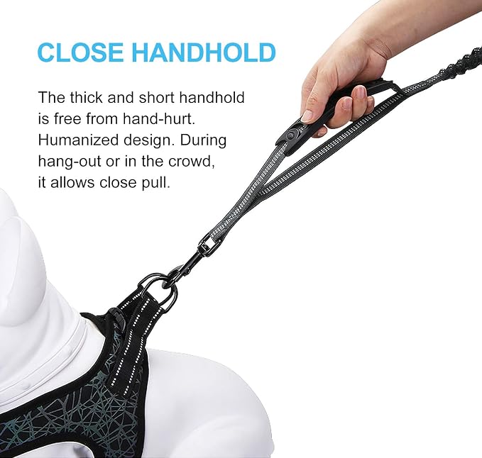 6FT Highly Reflective Heavy Duty Elastic Bungee Medium and Large Dog Leash Shock Absorbing with Comfortable Padded Handle and Traffic Handle Suitable for Training Grey