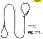 Fida Durable Slip Lead Dog Leash Bulk Pack of 5, Heavy Duty 1/2" x 6 FT Comfortable Strong Rope Slip Lead for Large, Medium & Small Dogs No Pulling Pet Training Leash with Highly Reflective (Grey)