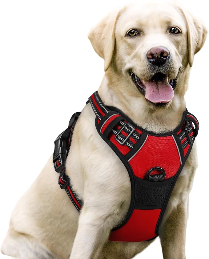 rabbitgoo Dog Harness, No Pull for Large Dogs with 2 Leash Clips, Pet Vest | No Choke with Handle, Adjustable Soft Padded, Reflective, Easy Control for Walking, Red, Large