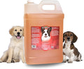 Bio-Groom Flea & Tick Dog Shampoo - Flea and Tick Prevention for Dogs, Cat Flea Treatment, Cruelty-Free, Made in USA, Natural Tick Repellent, Protein-Lanolin Shampoo - 2.5 Gallons | Flea and Tick Prevention for Dogs, Cat Treatment, Cruelty-Free, Made i...