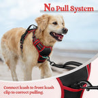 rabbitgoo Dog Harness, No Pull for Small Dogs with 2 Leash Clips, Pet Vest | No Choke with Handle, Adjustable Soft Padded, Reflective, Easy Control for Walking, Black & Red, Small