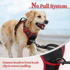 rabbitgoo Dog Harness, No Pull for Large Dogs with 2 Leash Clips, Pet Vest | No Choke with Handle, Adjustable Soft Padded, Reflective, Easy Control for Walking, Black & Red, X-Large