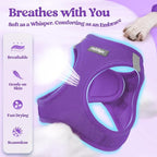 rabbitgoo Dog Harness Small Sized and Leash Set, Step-in Puppy Pet Vest | Light, Soft, Breathable Air Mesh, Easy on and Remove with Hook & Loop, Secure Reflective for Walking, Purple XXXS