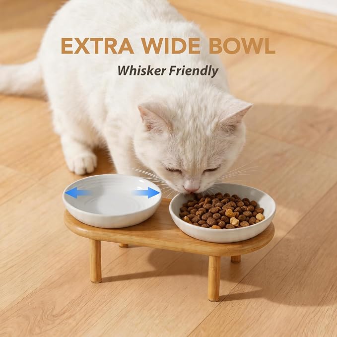 Havniva Elevated Cat Bowls, Ceramic Cat Bowl with Bamboo Stand Wide Opening | 5.7” Raised Cat Food Bowls, Whisker Friendly Cat Dish, Anti-Slip Cat Water Bowls, Shallow Cat Bowls, Cat Food & Water Bowl