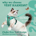 rabbitgoo Cat Harness and Leash Set, Escape Proof Vest, Cherry Grove | Soft Breathable Mesh, Easy Adjustable Fit, Snap Buckles, Sturdy Clip, Reflective Strips, for Average Cats Walks, S