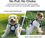 Petmolico No Pull Dog Harness Set with Leash Attachment Easy Control Handle Reflective Harness Vest Small Breed, Puppy Vest and Leash Set with Poop Bag Holder, Small - White Rose