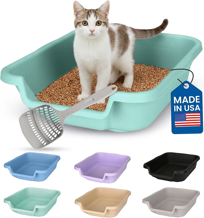 KittyGohere Senior Cat Litter Box Small with Scoop, Apple Green | Open Top Low Entrance Kitty Litter Box With With Long-handle Jumbo Scoop, Lightweight & Durable Litters Box, Made in USA