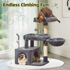 Taoqimiao 32.2in Cat Tree with Toy, Small Cat Tower for Indoor Cats, MS043G | Easy assembly, Sturdy, Multi Level, Easy Clean, Cozy Condo, Perches, Baskets, Suitable for Kittens and Adult Cats