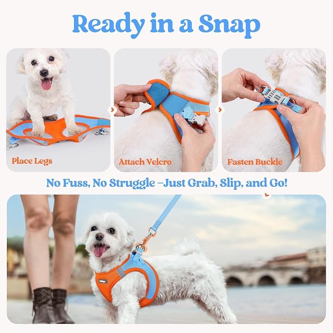 rabbitgoo Dog Harness Small Sized and Leash Set, Step-in Puppy Pet Vest | Light, Soft, Breathable Air Mesh, Easy on and Remove with Hook & Loop, Secure Reflective for Walking, Blue & Orange XS