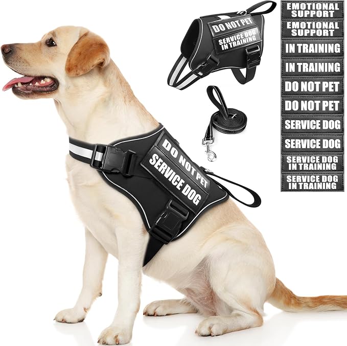 Service Dog Vest Harness and Leash Set+10 Patches,No Pull&Easy Walk Reflective Dog Harness with Soft Padded Handle for Training/Everyday,Fit Small/Medium/Large/Extra-Large Dogs (Black L) | No Pull&Adjustable Reflective Dog Harness Large Sized,Dog Leash...