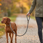 Mile High Life Dog Leash Braided Cotton Rope w/Leather-Wrapped Ends/Handle | Rust-proof 360° swivel clasp, Heavy-duty for medium/large dogs. Great for weddings, daily walks (4 FT, 1/2", Dark Gary)