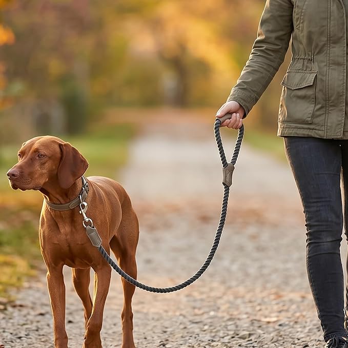 Mile High Life Dog Leash Braided Cotton Rope w/Leather-Wrapped Ends/Handle | Rust-proof 360° swivel clasp, Heavy-duty for medium/large dogs. Great for weddings, daily walks (4 FT, 1/2", Dark Gary)