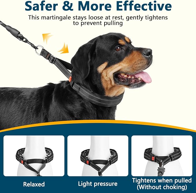 Crazy Felix No Pull Martingale Collar for Large Medium Small Dogs to Train | Walking Collar with Buckle Anti Pull, Fit Pitbull German Shepherd Doberman, Reflective (Black, S-Neck 11-13", 1" Wide)