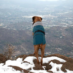 Lelepet Dog Coats for Large Dogs Waterproof Dog Jacket with Adjustable Fit | Winter Jacket Reflective Pet Fleece Vest Windproof Cold Weather Coats with Adjustable Buckle & Leash Hole, Dark Green, XXXL