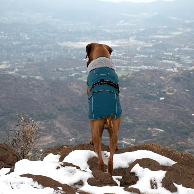 Lelepet Dog Coats for Large Dogs Waterproof Dog Jacket with Adjustable Fit | Winter Jacket Reflective Pet Fleece Vest Windproof Cold Weather Coats with Adjustable Buckle & Leash Hole, Dark Green, XL