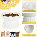 Tioncy 2 Pcs Ceramic Elevated Slow Feeder Cat Bowl, Raised Cat Slow Feeder Bowl, Anti Vomiting for Dry and Wet Food, No Spill High Edge Easy Clean Dishwasher Safe (Black,White)