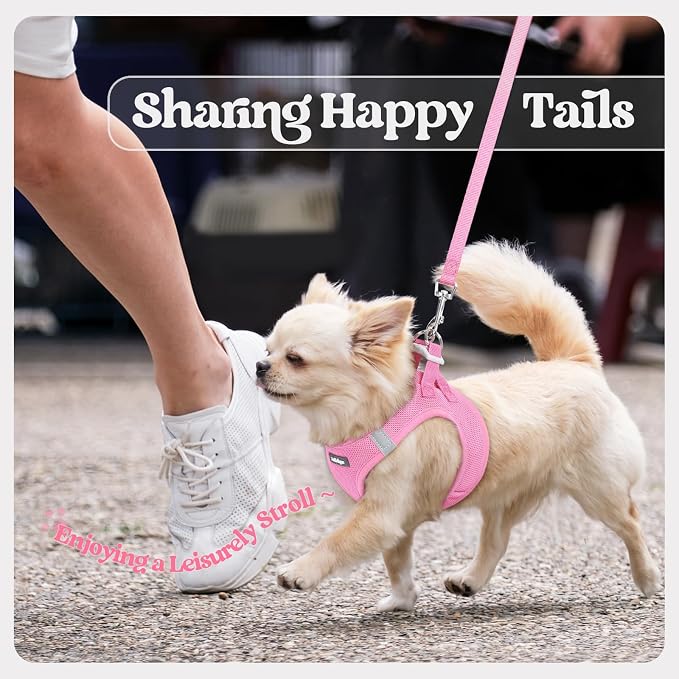 rabbitgoo Dog Harness Medium Sized and Leash Set, Step-in Puppy Pet Vest | Light, Soft, Breathable Air Mesh, Easy on and Remove with Hook & Loop, Secure Reflective for Walking, Light Pink XXL