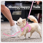 rabbitgoo Dog Harness Medium Sized and Leash Set, Step-in Puppy Pet Vest | Light, Soft, Breathable Air Mesh, Easy on and Remove with Hook & Loop, Secure Reflective for Walking, Light Pink XXL
