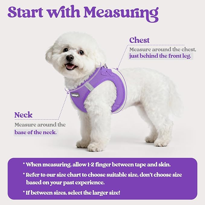 rabbitgoo Dog Harness Small Sized and Leash Set, Step-in Puppy Pet Vest | Light, Soft, Breathable Air Mesh, Easy on and Remove with Hook & Loop, Secure Reflective for Walking, Purple XXXS