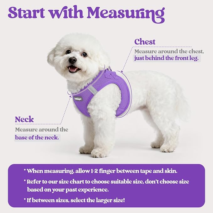 rabbitgoo Dog Harness Small Sized and Leash Set, Step-in Puppy Pet Vest | Light, Soft, Breathable Air Mesh, Easy on and Remove with Hook & Loop, Secure Reflective for Walking, Purple S