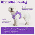 rabbitgoo Dog Harness Small Sized and Leash Set, Step-in Puppy Pet Vest | Light, Soft, Breathable Air Mesh, Easy on and Remove with Hook & Loop, Secure Reflective for Walking, Purple XS