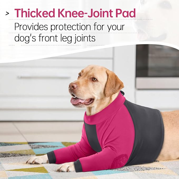 Lelepet Dog Recovery Sleeve, Dog Long Sleeve Shirt Stop Licking XL | Surgery Recovery Suit for Front Legs Shoulder Chest Wounds Skin Conditions Leg Sleeve for itching with Arms Elbow Protector