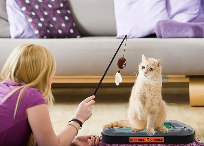 Pets First CAT Scratcher & Plush Football Toy with Catnip, Feather & Jingle Bell Interactive Ball - 5-in-1 Kitty Toy