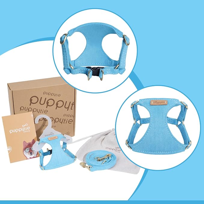 Puppytie Dog Harness with Multifunction Dog Leash,Soft Adjustable No Choke Escape Proof Pet Harness Vest,Ocean Blue,XXS