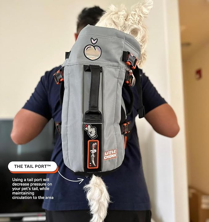 Little Chonk Maxine One Dog Backpack Carrier for Medium Dogs (Gray) | Adjustable & Ergonomic Pet Carrier, Built to be Safer, Hands Free Travel & Hiking, Front Facing, Featured in Wired Magazine