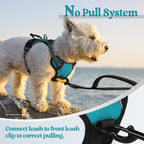 rabbitgoo Dog Harness No Pull with 2 Leash Clips, Adjustable Soft Padded, Reflective Oxford No Choke Pet Vest with Easy Control Handle for Puppy, Teal, XS | No Choke with Handle, Adjustable Soft Padded, Reflective, Easy Control for Walking, Teal, X-Small