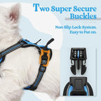rabbitgoo Dog Harness, No Pull for Small Dogs with 2 Leash Clips, Pet Vest | No Choke with Handle, Adjustable Soft Padded, Reflective, Easy Control for Walking, Blue, X-Small