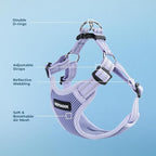 Voyager Step-in Flex Adjustable Dog Harness - Lavender, X-Small | 13 - 16" in Chest, Fully Adjustable, Reflective Bands, All Weather Breathable Air Mesh, Lightweight, Fast Drying