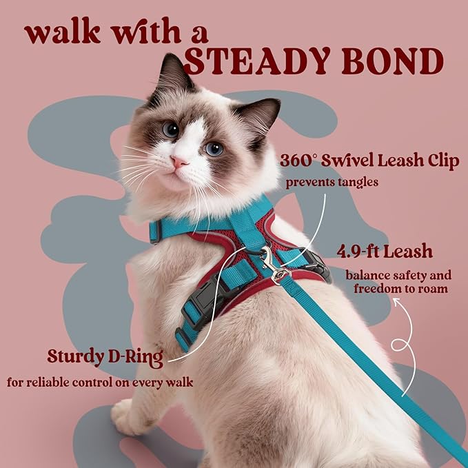 rabbitgoo Cat Harness and Leash Set, Escape Proof Vest, Red & Teal | Soft Breathable Mesh, Easy Adjustable Fit, Snap Buckles, Sturdy Clip, Reflective Strips, for Medium to Large Cats Walks, M