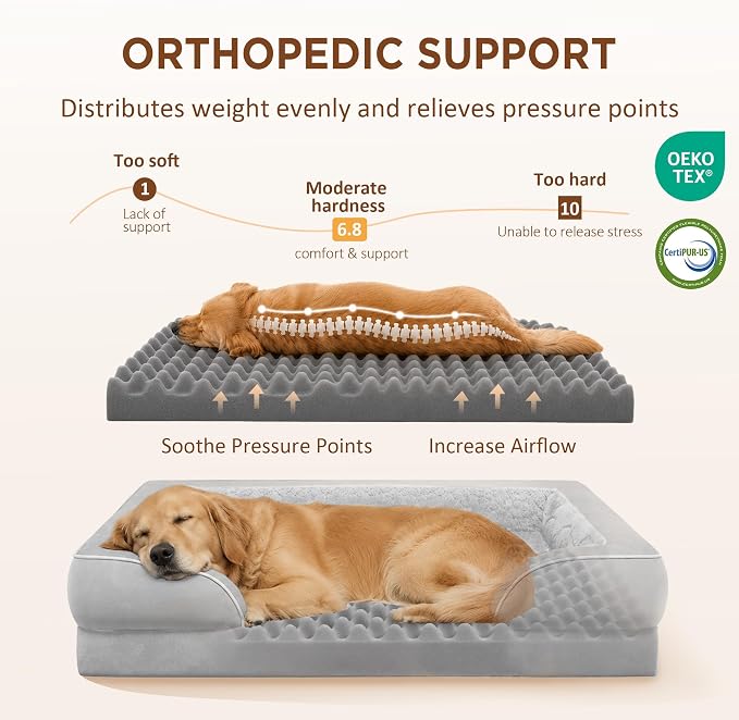 Comfort Expression Orthopedic Dog Beds for Large Sized Dog with Bolster | Waterproof Dog Couch Bed with Washable Cover & Non-Slip Bottom, Supportive Egg Crate Foam Large Pet Bed, 36x27 Inch