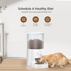 PETULTRA Automatic Cat Feeder: 4L Timed Cats Food Dispenser Programmable 1-6 Meal for Cat and Small Medium Dog- Auto Pet Feeder Dual Power Supply with Desiccant Bag& | Easy to Clean White