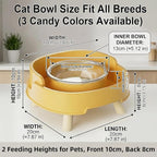 Ant Not Cross Elevated Cat Bowls Mess Proof-2 Food Grade Glass Bowls & 1 Lids- No Spill Cat Food and Water Feeding Station for Cats&Puppy Indoor & Outdoor,No Whisker Fatigue Dish,Yellow
