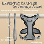 rabbitgoo Cat Harness and Leash Set, Escape Proof Vest, Grey | Soft Breathable Mesh, Easy Adjustable Fit, Snap Buckles, Sturdy Clip, Reflective Strips, for Medium to Large Cats Walks, M