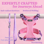 rabbitgoo Cat Harness and Leash Set, Escape Proof Vest, Pink & Light Purple | Soft Breathable Mesh, Easy Adjustable Fit, Snap Buckles, Sturdy Clip, Reflective Strips, for Small & Average Cats Walks, Xs
