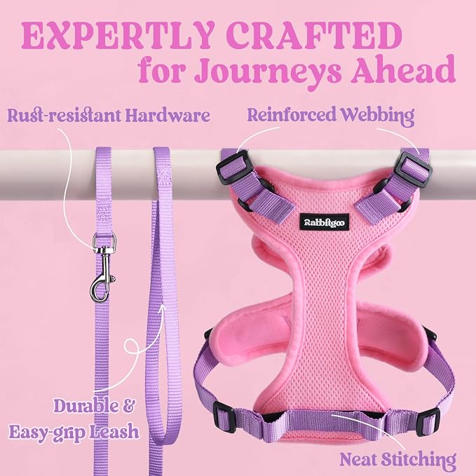 rabbitgoo Cat Harness and Leash Set, Escape Proof Vest, Pink & Light Purple | Soft Breathable Mesh, Easy Adjustable Fit, Snap Buckles, Sturdy Clip, Reflective Strips, for Kittens & Small Cats Walks, Xxs