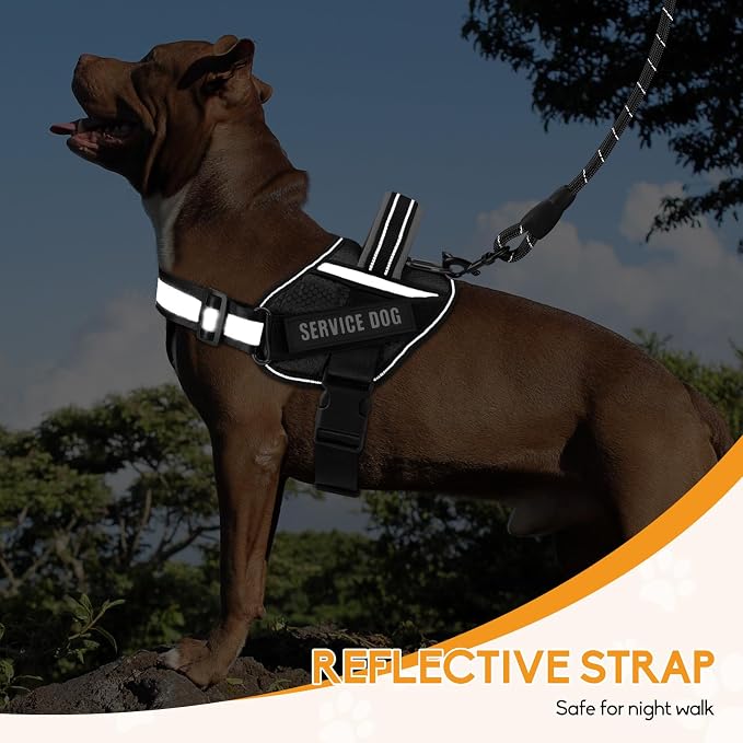 Service Dog Vest Harness and Leash Set, Animire in Training Dog Harness with 10 Dog Patches, Reflective Dog Leash with Soft Padded Handle for Small, Medium, Large, and Extra-Large Dogs (Black,XL)