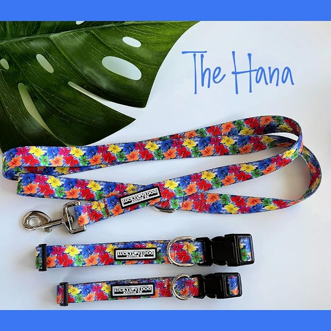Lucky Love Dog - Easy Click Buckle Dog Collar with Leash Set Combo, Durable & Comfortable for Male & Female Dogs, Pet Collar for Small Dogs, Secure Fit - Hana Combo, Small