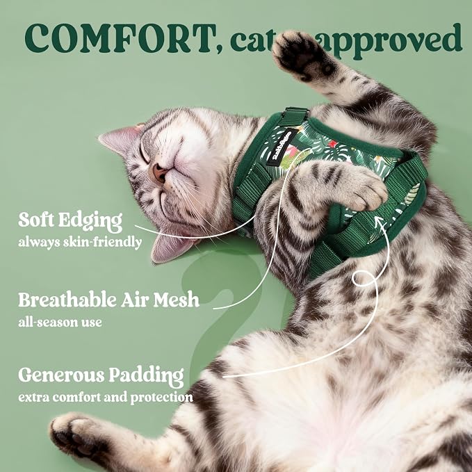 rabbitgoo Cat Harness and Leash Set, Escape Proof Vest, Rainforest Green | Soft Breathable Mesh, Easy Adjustable Fit, Snap Buckles, Sturdy Clip, Reflective Strips, for Kittens & Small Cats Walks, Xxs