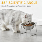 Elevated Cat Bowls 3 Pack, 15° Tilted Raised Cat Food & Water Bowls with Stainless Steel Dishes, Whisker-Friendly Anti-Vomiting Pet Bowls for Cats & Small Dogs