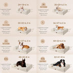 EHEYCIGA Orthopedic Dog Bed for Large Dogs, Waterproof Memory Foam, Non-Slip Bottom, Beige, 35"L x 22"W x 6.5"Th | Non-Slip Bottom and Egg-Crate Memory Foam Dog Couch Bed with Washable Removable Cover, Beige
