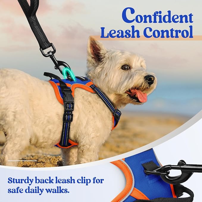 rabbitgoo Dog Harness, No Pull for Small Dogs with 2 Leash Clips, Pet Vest | No Choke with Handle, Adjustable Soft Padded, Reflective, Easy Control for Walking, Blue & Orange, X-Small
